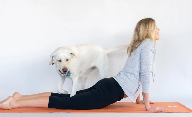 Mitarbeiterin Barbara Panholzer macht Yoga mit ihrer Labradorhündin.