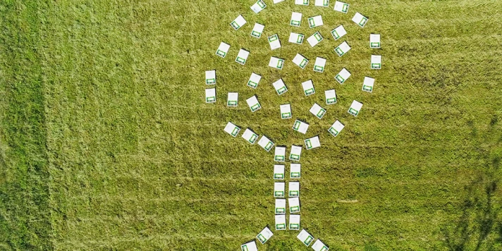 Grüne Wiese auf der aus Zertifikaten ein Baum aufgelegt wurde.